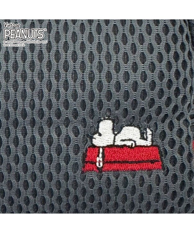 ROOTOTE 8434【スヌーピー】IP.ベビールー.ウエッファ.ピーナッツ-0K 02：グレー