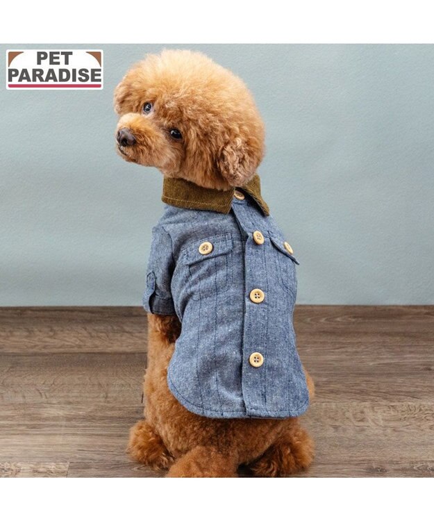 PET PARADISE ペットパラダイス コーデュロイ襟 シャツ 小型犬 ブルー