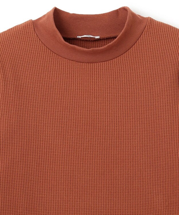 BEIGE， 【B】COSMOS / 半袖トップス Terracotta