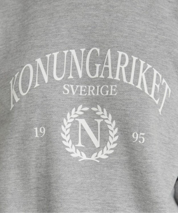 WEGO 【ANGIE VINTAGE】カレッジロゴスウェット 杢グレー