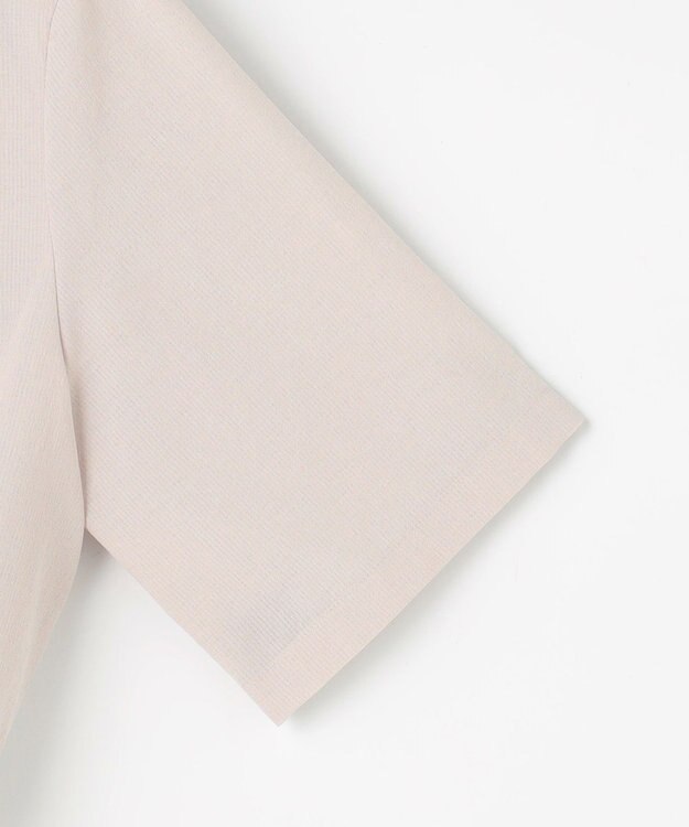 J.PRESS LADIES S 【WEB限定】アキハ BREEZE COOL シャツ ブラウス グレージュ系