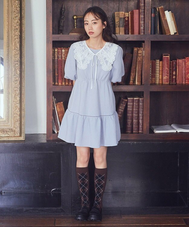 earth music&ecology シアー刺繍レース付け襟 Off White