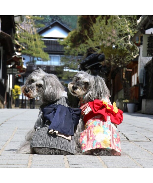 PET PARADISE ペットパラダイス 黒白 浴衣 とんぼ刺繍 小型犬 -