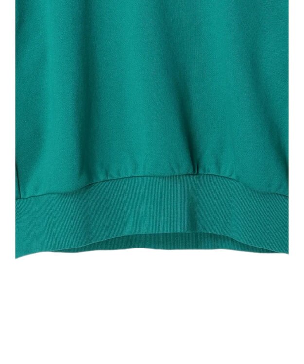 earth music&ecology Ｌｅｅ×ｅ．ｍ．ａ．ｅ．バックプリントプルオーバー Green