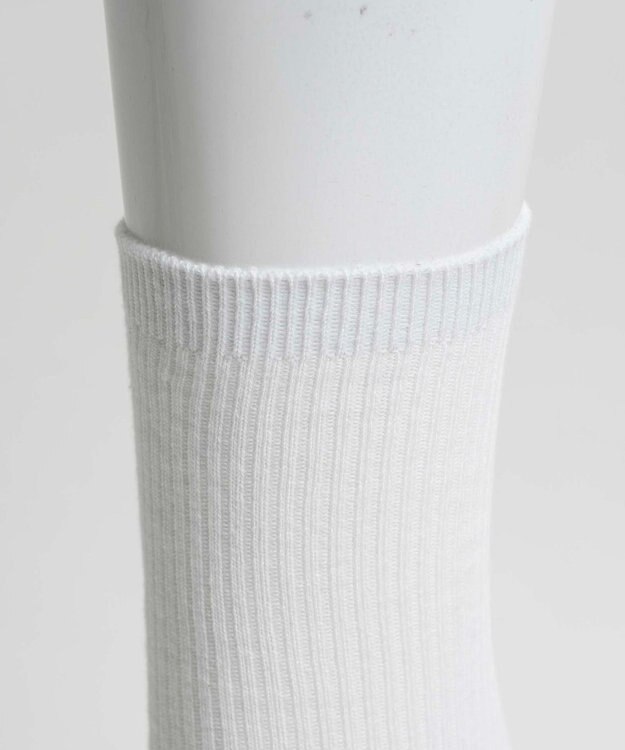 WEGO 無地リブソックス（丈21cm） ホワイト
