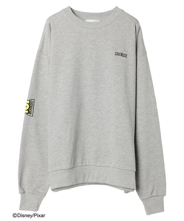 Green Parks ＴＯＹ　ＳＴＯＲＹ／バックプリント裏毛プルオーバー Gray Mixture