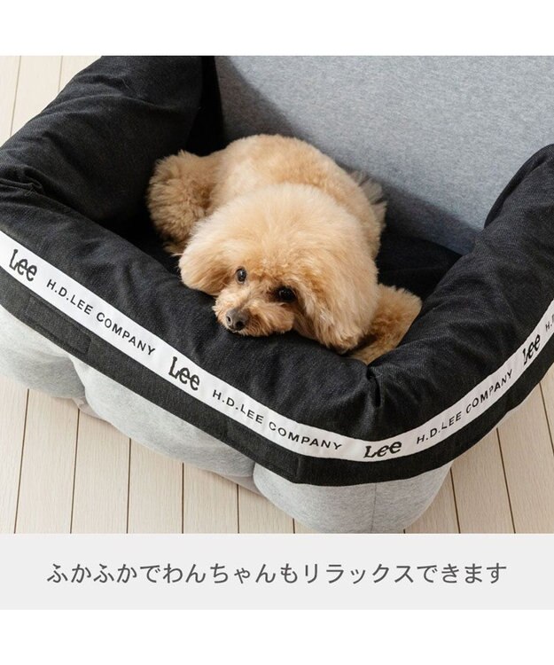 PET PARADISE Lee ドライブカドラー 《ロゴ柄》 Ｍ 小型犬 グレー