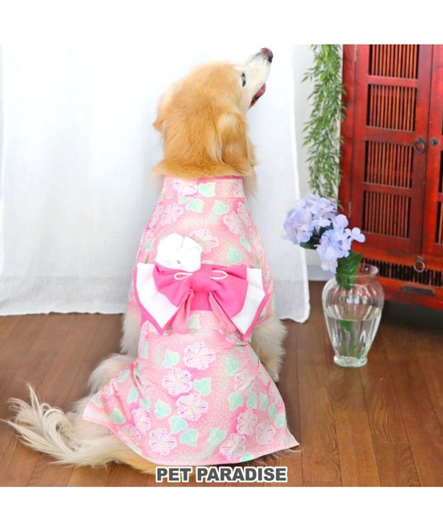 PET PARADISE ペットパラダイス 絞り風 浴衣 《朝顔》 中型犬 大型犬 朝顔