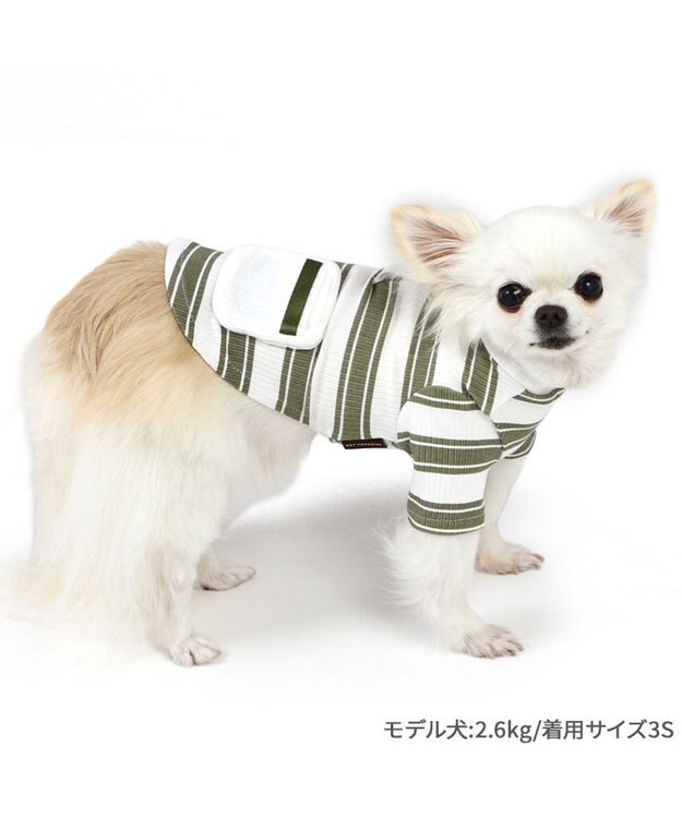 PET PARADISE ペットパラダイス 縞のびのびリブＴシャツ 小型犬 グリーン
