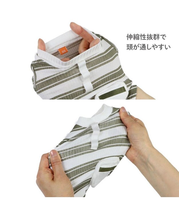 PET PARADISE ペットパラダイス 縞のびのびリブＴシャツ 小型犬 グリーン