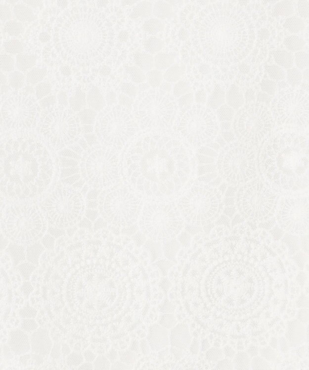 ANY SIS 【洗える】レイヤードレース ブラウス オフ