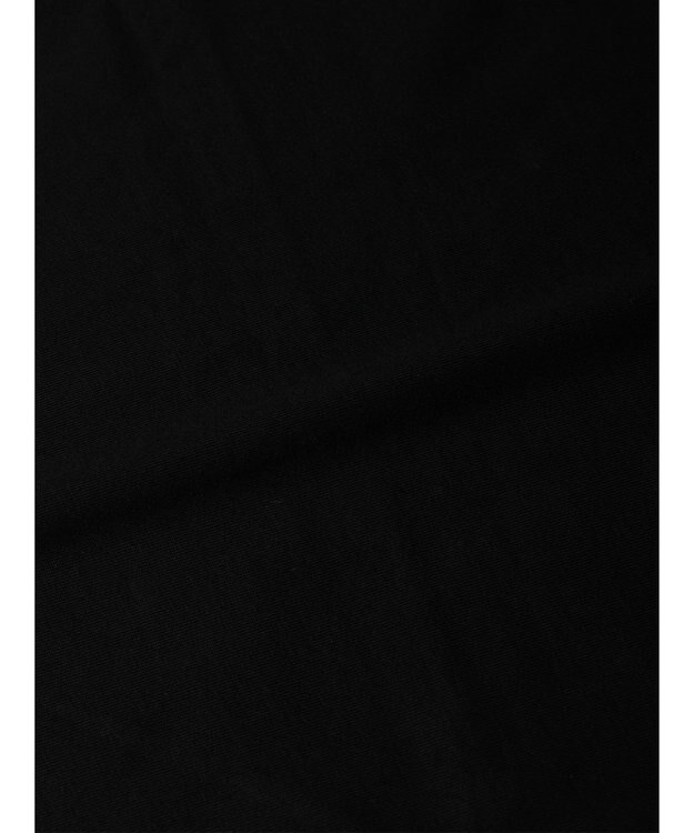 CRAFT STANDARD BOUTIQUE 【ＵＶカット】ＳＡＶＯＩＥ　ＴＥＥ Black