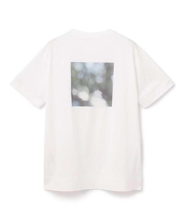 BEIGE， ARMAND / Tシャツ Trees