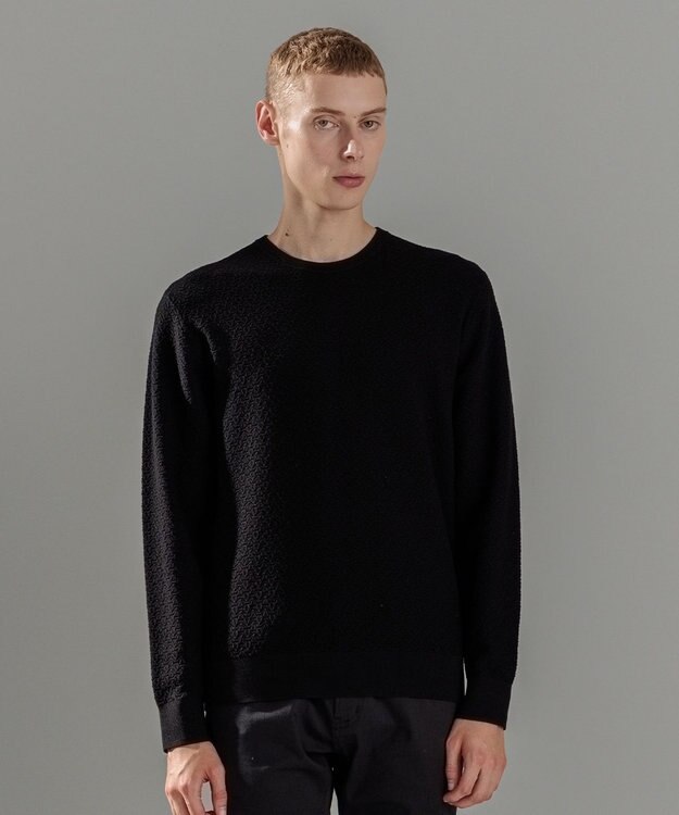 JOSEPH HOMME 【イージーケア】 ヴィスコースリンクス　クルーネックニット ブラック系