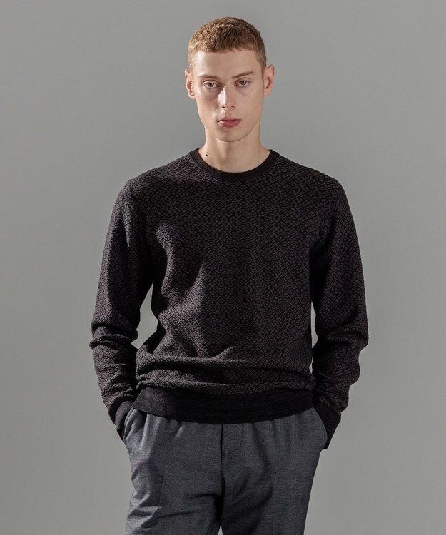 JOSEPH HOMME 【イージーケア】 ヴィスコースリンクス　クルーネックニット グレー系