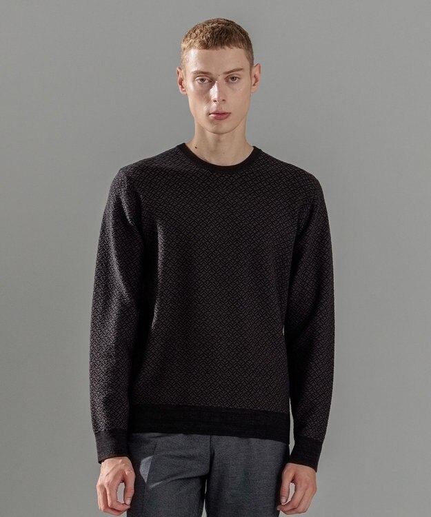 JOSEPH HOMME 【イージーケア】 ヴィスコースリンクス　クルーネックニット グレー系