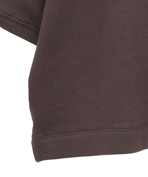 AMERICAN HOLIC アソートロゴルーズドルマンプルオーバー Brown