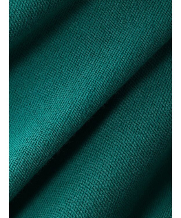 earth music&ecology Ｌｅｅ×ｅ．ｍ．ａ．ｅ．バックプリントプルオーバー Green