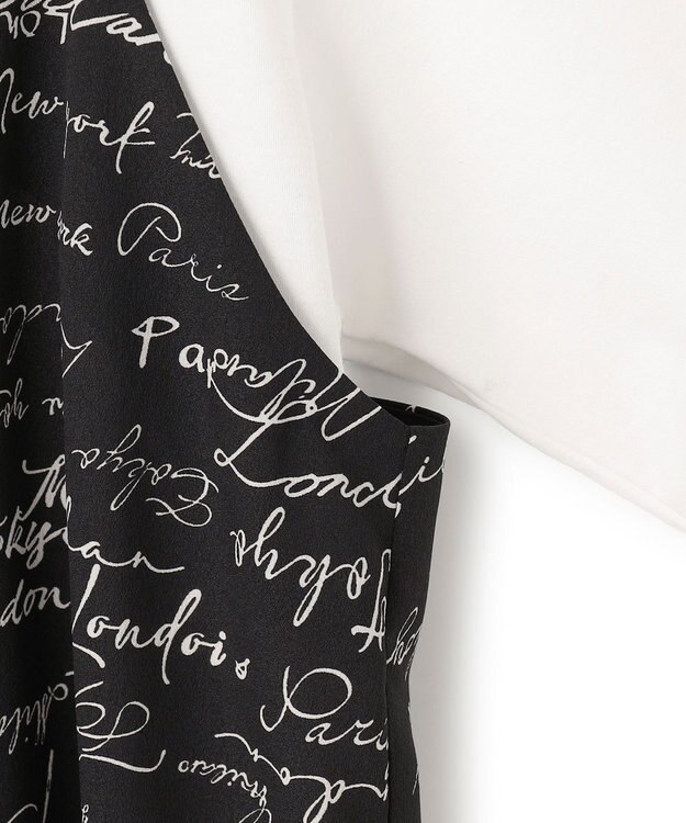 ICB 【30th ANNIVERSARY】5cityプリント コンビカットソー オフホワイト×ブラック