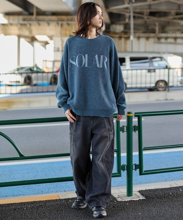 WEGO 【ユニセックス着用ITEM】ベロアモールグラフィックプルオーバー ブルー