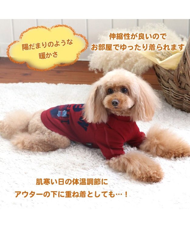 PET PARADISE 犬 服 Tシャツ 【小型犬】 プレミアム ペティーヒート カレッジ 赤 赤