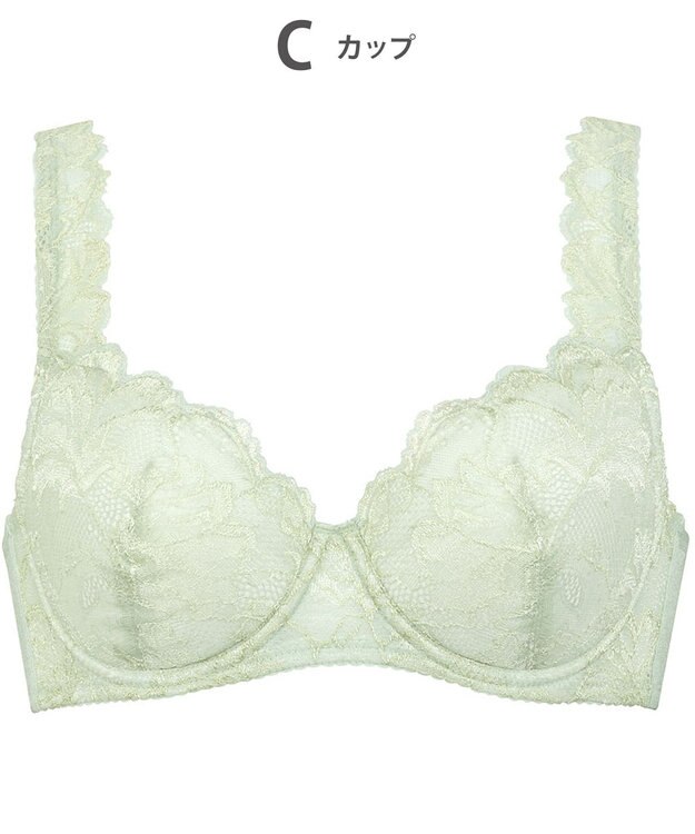 Wing Wing Lesiage 【3000シリーズ】 PB3000 ウイング／ワコール メロン