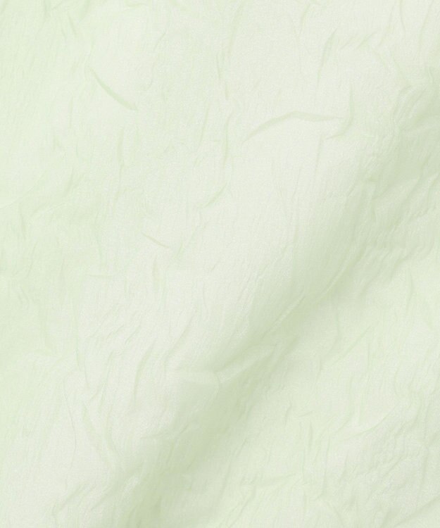 NAVE 【Nave・洗える/シアー素材】クラッシュオーガンジー スカート ライトグリーン系