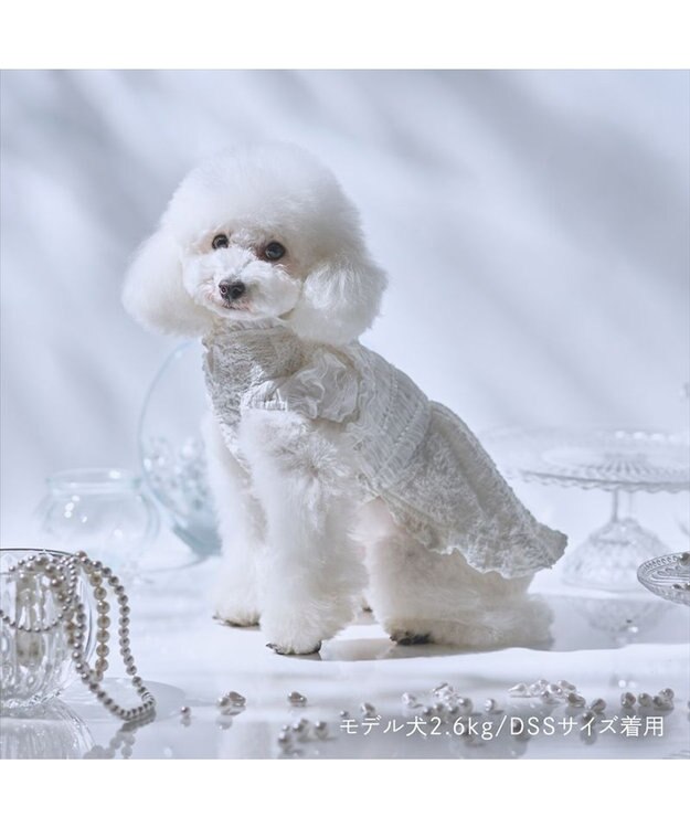 PET PARADISE cherircouture くしゅくしゅ ワンピース 小型犬 ホワイト