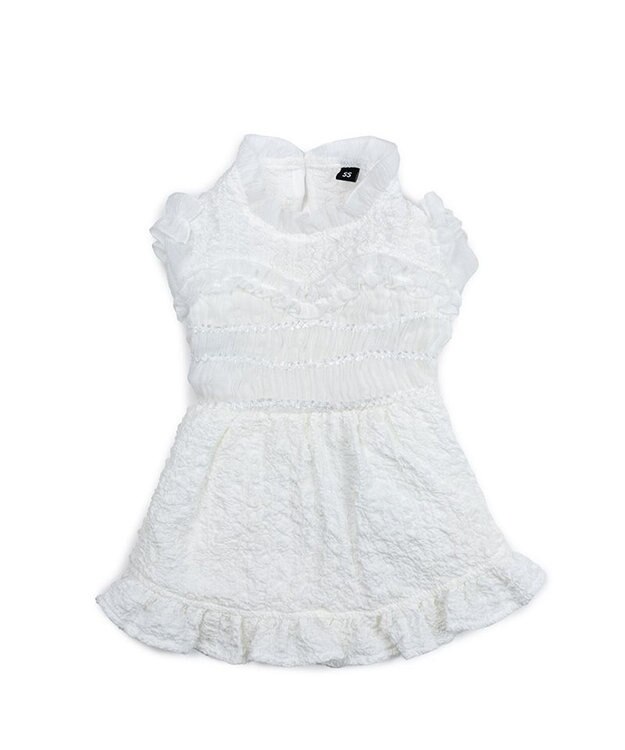 PET PARADISE cherircouture くしゅくしゅ ワンピース 小型犬 ホワイト