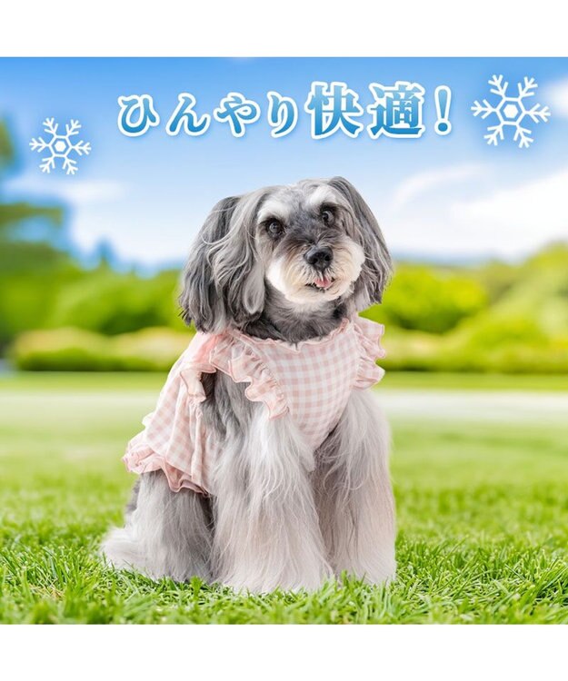 PET PARADISE ディズニー ミニーマウス 背中開き クールキャミソール 小型犬 ピンク