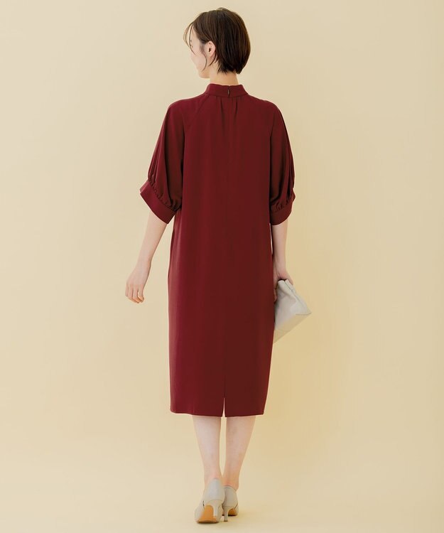 自由区 【WEB限定】ラグランタック ドレス ワイン系