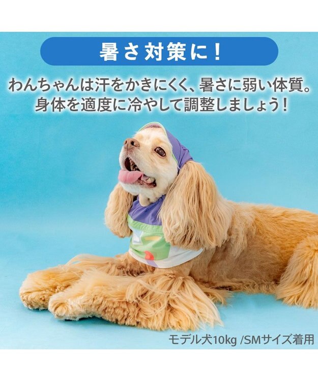 PET PARADISE ディズニー トイ・ストーリー バズ 保冷付き帽子 ＳＭ 中型犬 パープル