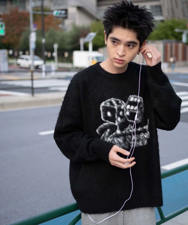 WEGO 【ユニセックス着用ITEM/MLサイズ展開】シャギーグラフィックプルオーバー ブラック