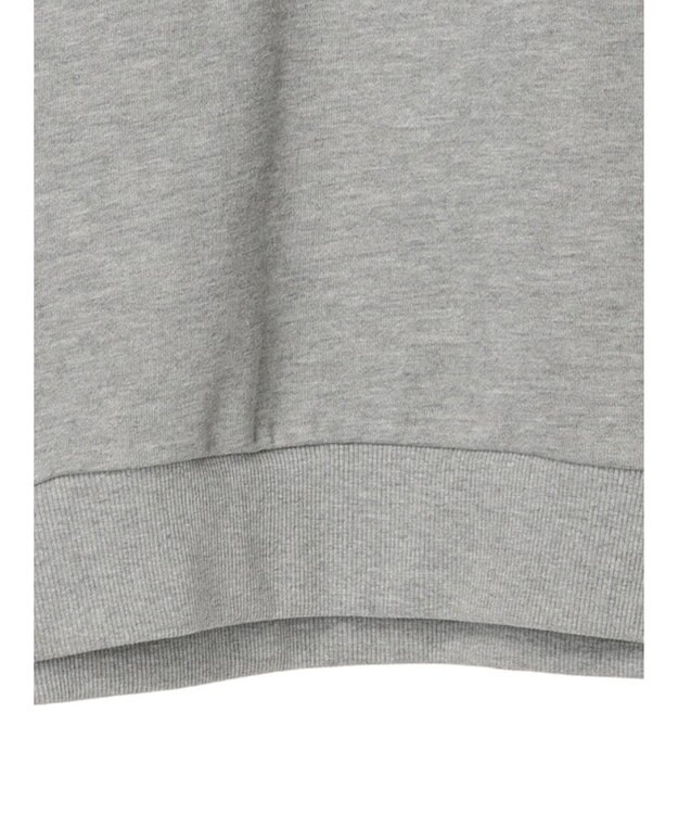 Green Parks Ｃａｒｓ／バックプリント裏毛プルオーバー Gray Mixture