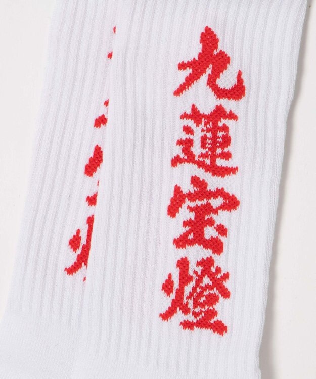 WEGO ロゴソックス（R） 柄6