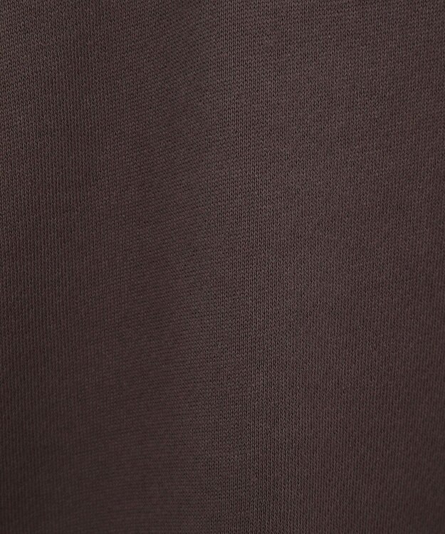 AMERICAN HOLIC アソートロゴルーズドルマンプルオーバー Brown