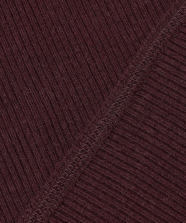 BEIGE， 【洗える】FORD / クルーネックトップス Bordeaux×C Gray