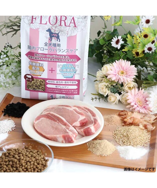 PET PARADISE ペットパラダイス 国産 ドッグフード ビオキッチン 1kg ＆ フローラ 1kg お試しセット