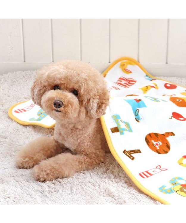 PET PARADISE ディズニー くまのプーさん ブランケット 《数字柄》 90×60cm 数字柄