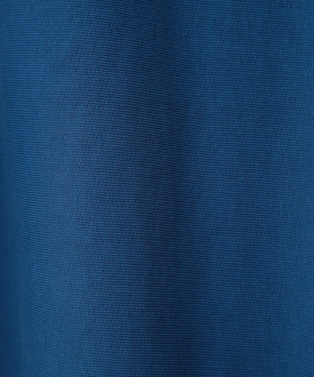 AMERICAN HOLIC ＦＯＯＴＢＡＬＬ　フーディーＢＩＧスウェット Blue