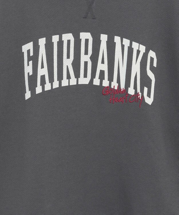 AMERICAN HOLIC アソートロゴルーズドルマンプルオーバー Charcoal Gray