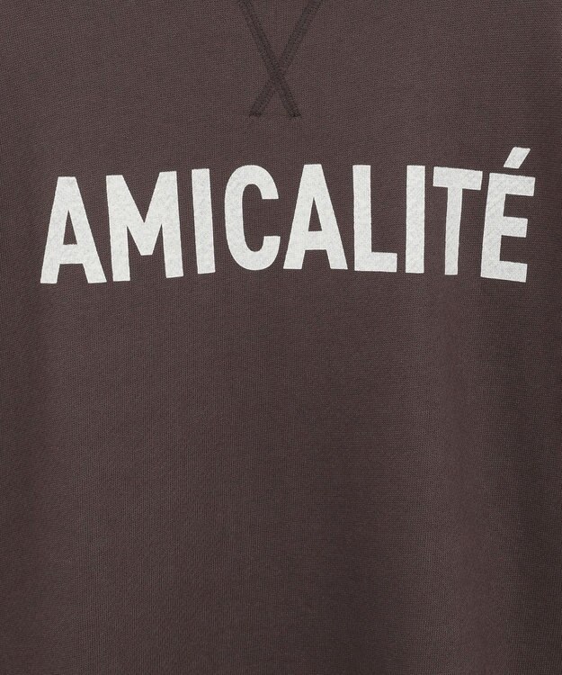 AMERICAN HOLIC アソートロゴルーズドルマンプルオーバー Brown