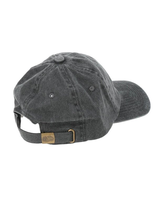 Green Parks ■ＦＲＵＩＴ　ＯＦ　ＴＨＥ　ＬＯＯＭ　Ｐｉｇｍｅｎｔ　ＣＡＰ Charcoal Gray