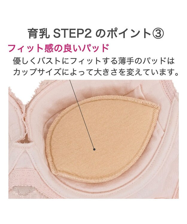BRADELIS New York 【BRADELIS New York/ 育乳ブラ・STEP2 寄せる】ベルステップ2ブラ24A2 補正ブラ 谷間を作るブラジャー CA124309 ピンク