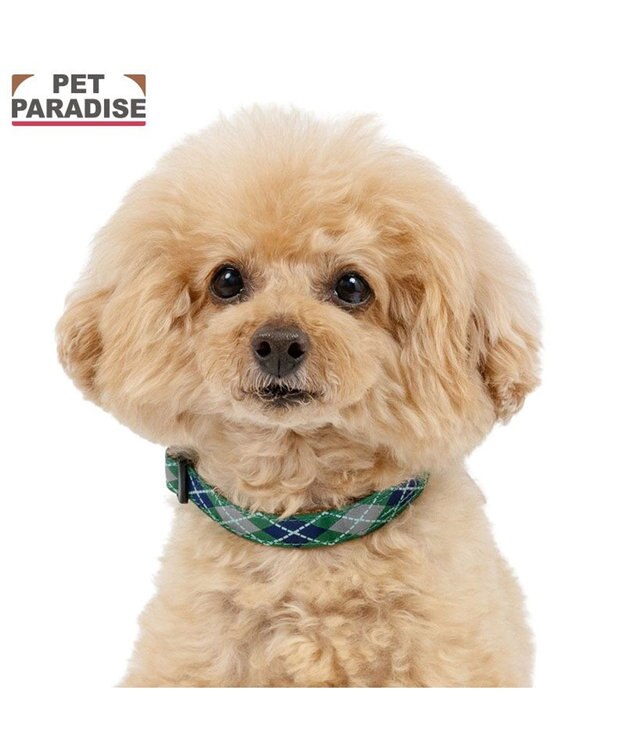 PET PARADISE ペットパラダイス チェック柄 首輪 ３Ｓ 小型犬 グリーン