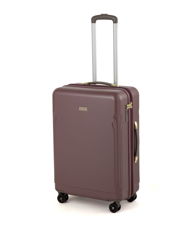 ACE BAGS & LUGGAGE hiromichi nakano リーヴァ2 スーツケース Mサイズ 61L 05014 ヒロミチナカノ ローズグレー