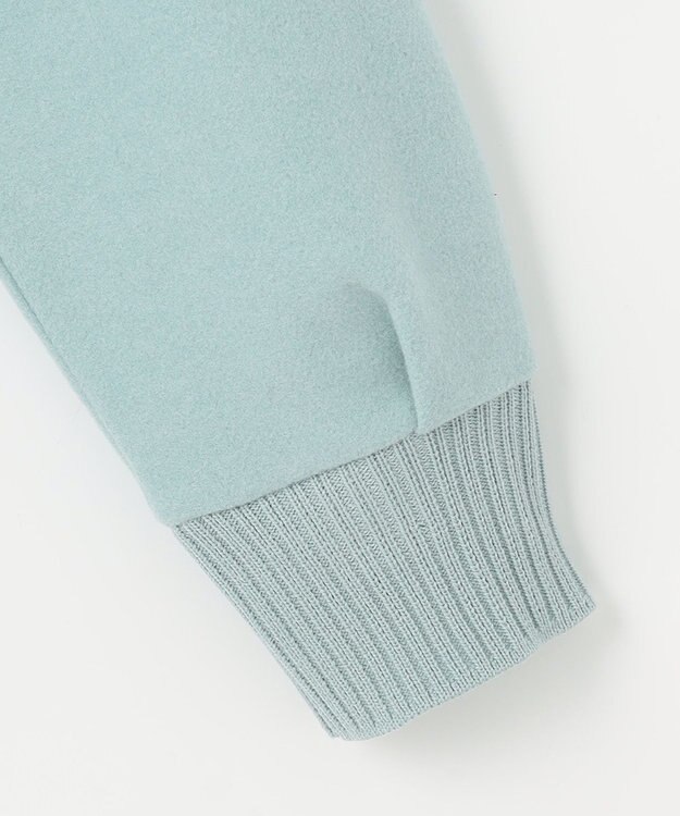 J.PRESS LADIES 【WEB限定カラーあり】ニードルパンチ カットソー 【WEB限定】ミント系