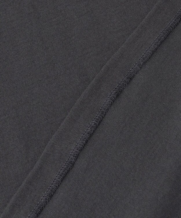 BEIGE， 【洗える】SORE / コットンシアークルーネックカットソー Slate