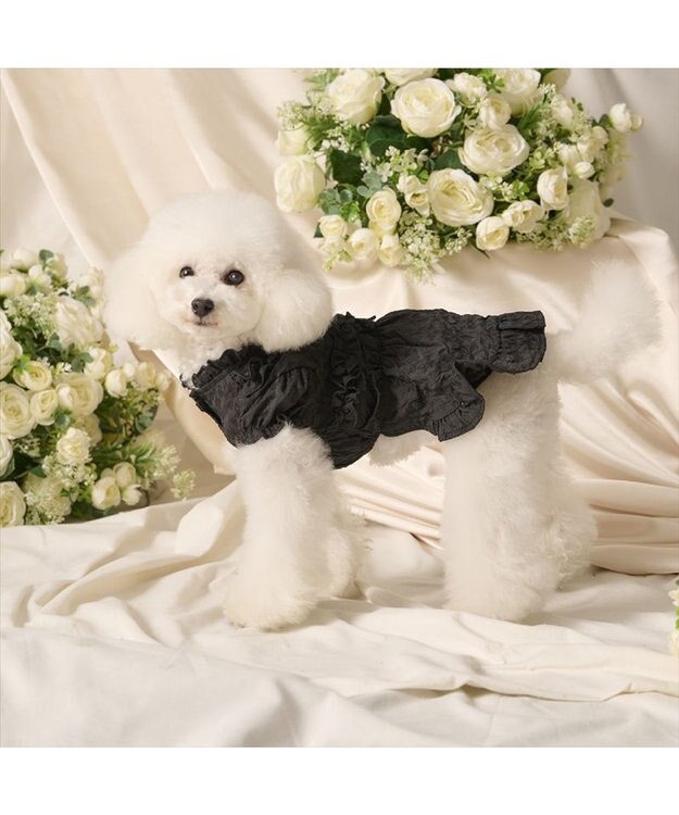 PET PARADISE cherircouture フリルリボン ワンピース 《ブラック》 小型犬 ブラック