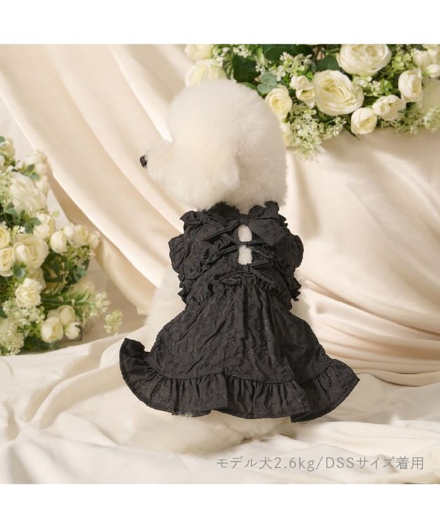 PET PARADISE cherircouture フリルリボン ワンピース 《ブラック》 小型犬 ブラック